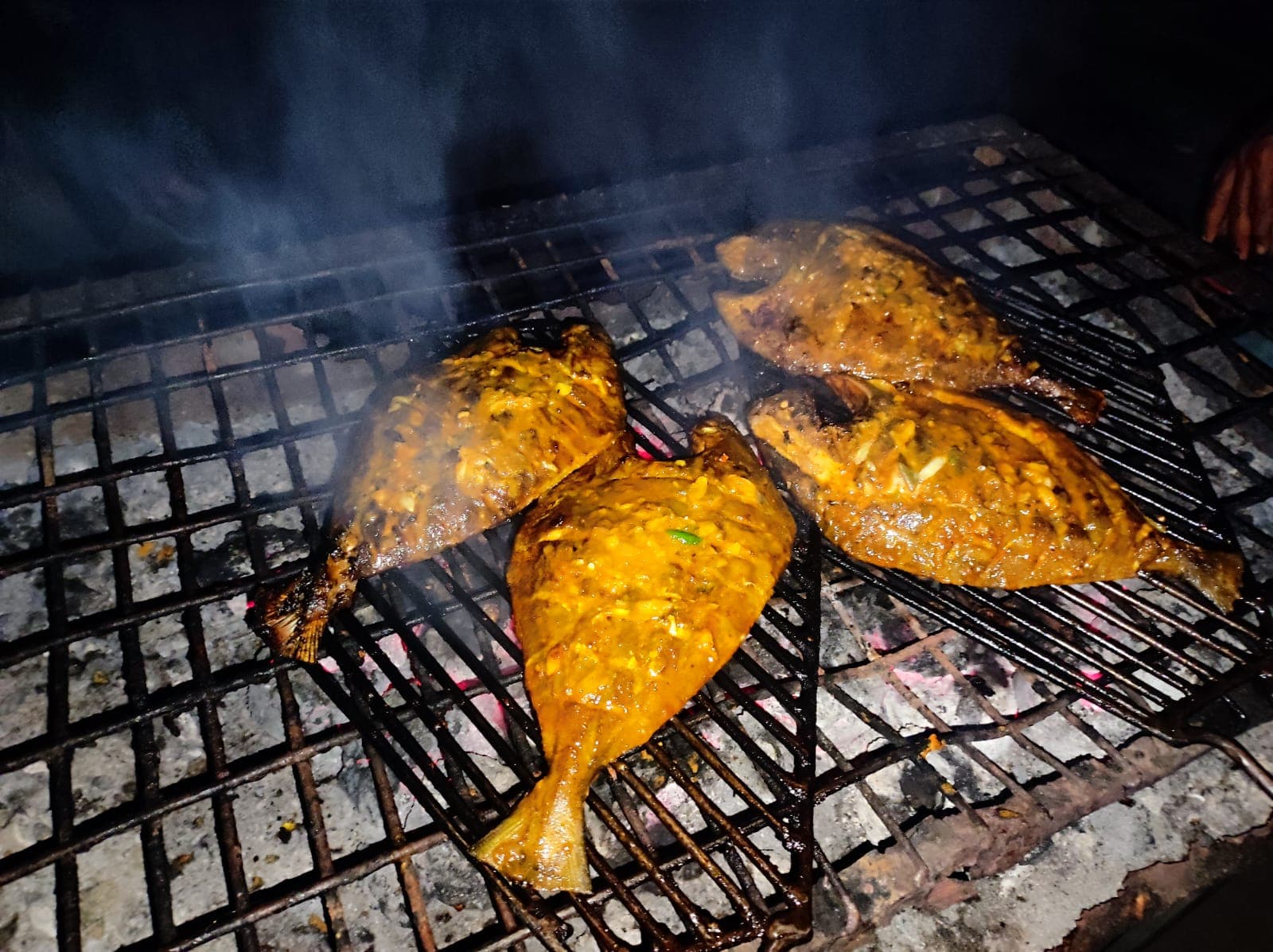 Sailor Moon Resort - Image 11